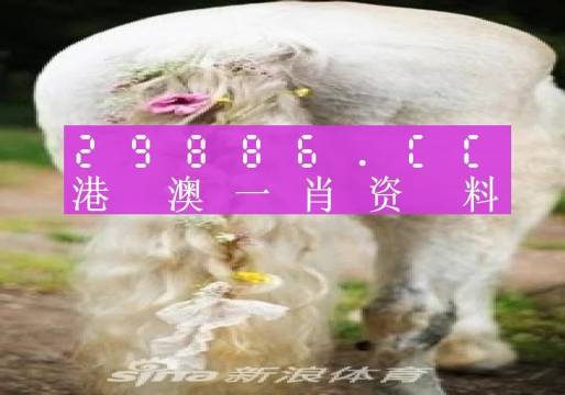 澳门平特一肖100%免费,最新答案解释落实_潮流版3.739