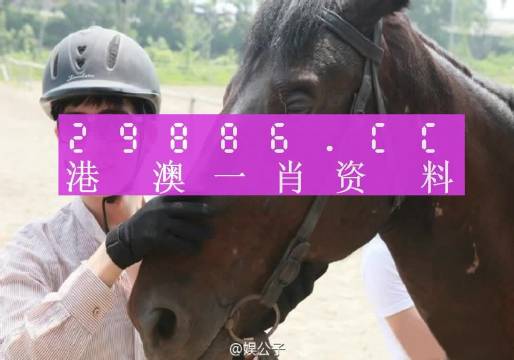 澳门一码必中准确率,动态词语解释落实_专业版2.266