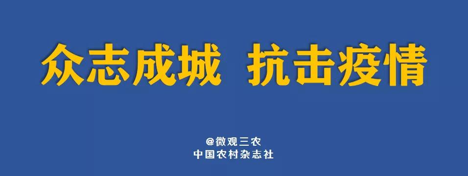 澳门今晚必开一肖1,灵活操作方案设计_Z76.914