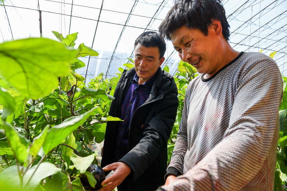 宁城李占勇，奋斗不息，勇攀高峰最新消息