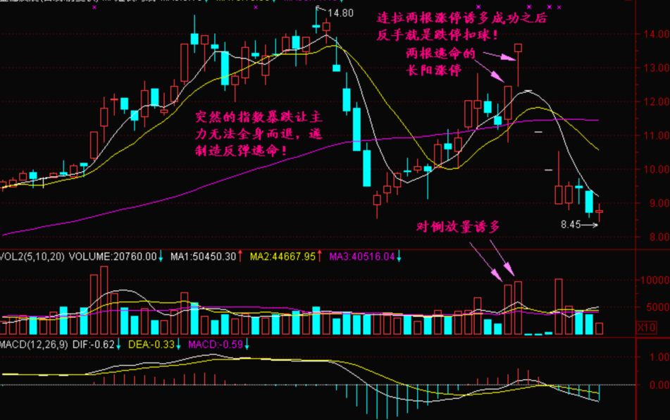 澳门最精准正最精准龙门蚕,高度协调策略执行_豪华版180.300