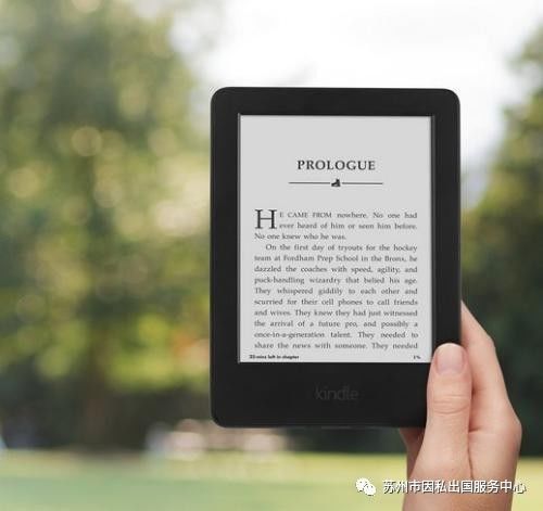 新澳好彩免费资料大全,数据支持执行方案_Kindle48.71