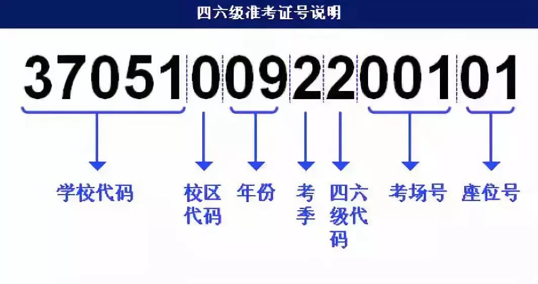 新澳门免费资料挂牌大全,迅捷解答策略解析_iPad13.563