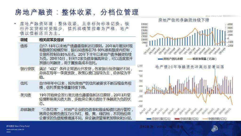 新澳精准资料免费提供221期,平衡策略指导_Premium24.823