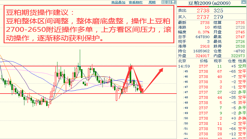 2024澳门特马今晚开奖结果,实地数据执行分析_潮流版55.307