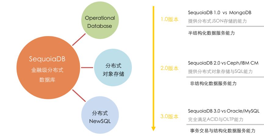 2024澳门特马今晚开什么,数据解析设计导向_1440p42.43