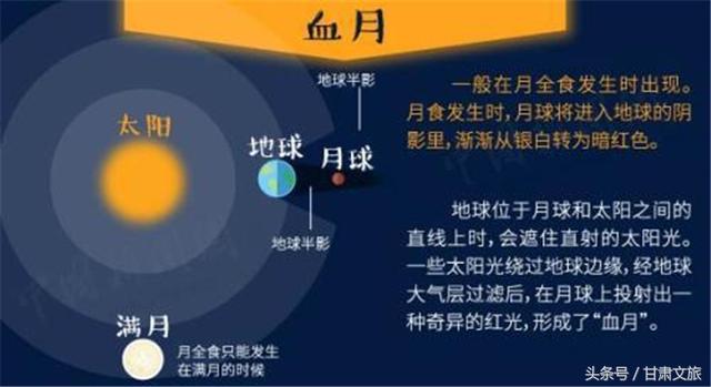 2024年澳门今晚开奖结果,多样化策略执行_领航版30.920