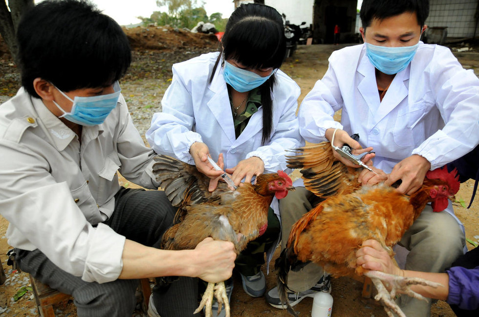 遂宁市H7N9疫情最新消息更新