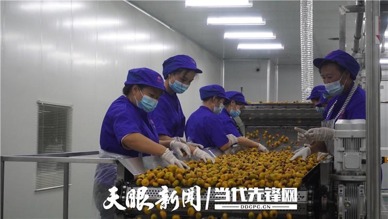 普定工业园区最新招工信息及其社会影响分析