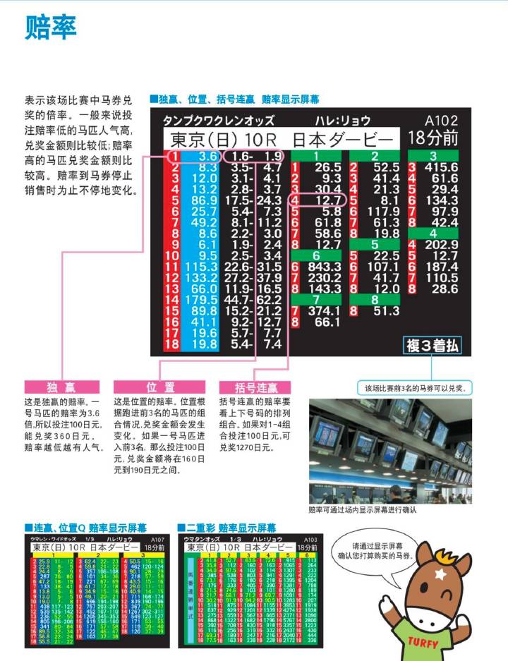 7777788888马会传真,实践案例解析说明_U28.121