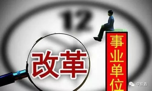 参公单位改革最新动态，深度探讨及前景展望