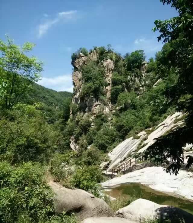 蝌蚪音乐网最新地址，无限音乐魅力的探索之旅