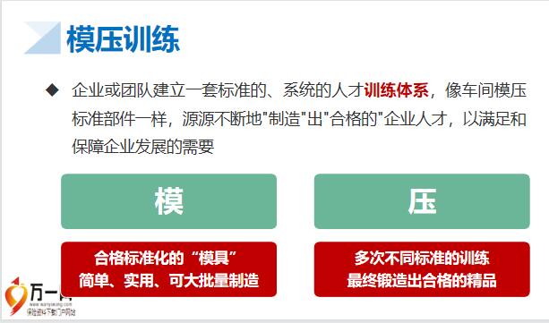 新澳门平特一肖100准,专业调查解析说明_苹果66.69