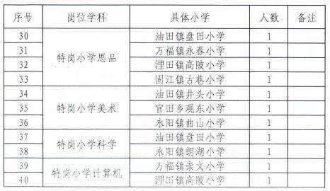 莲花县小学最新招聘启事概览