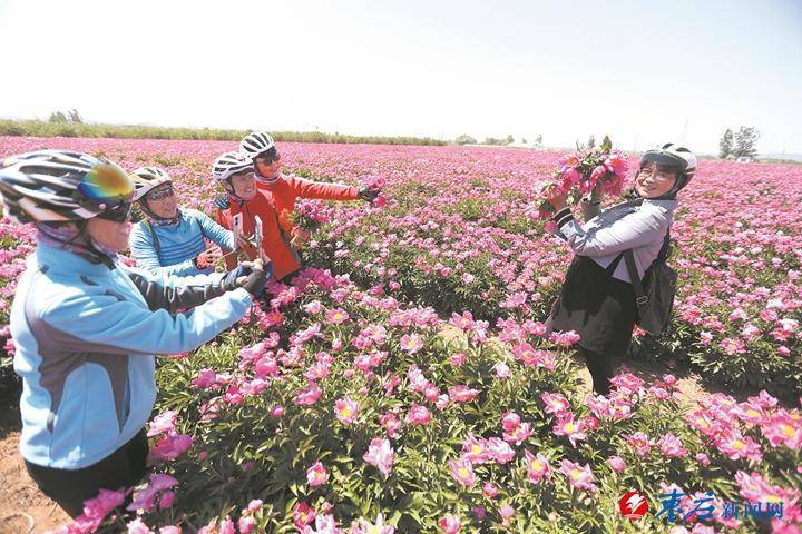 芍药山乡交通新动态，乡村振兴与交通发展深度融合之路