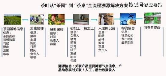 一码一肖100%的资料,实效设计计划解析_挑战款23.771