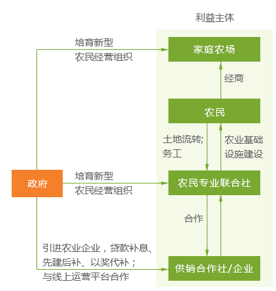 新澳天天开奖资料,完善的执行机制解析_潮流版2.773