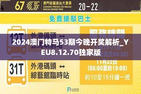 2024年澳门特马今晚,诠释解析落实_N版25.30