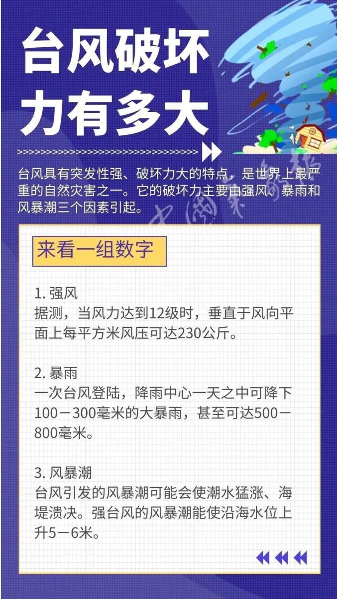 2024澳门天天开彩免费资料,高速解析方案响应_LT25.166