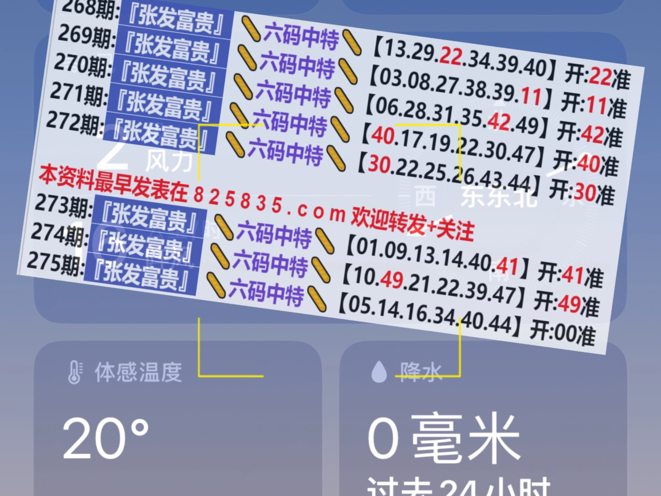 2024新奥门天天开好彩大全85期,最佳选择解析说明_终极版23.768