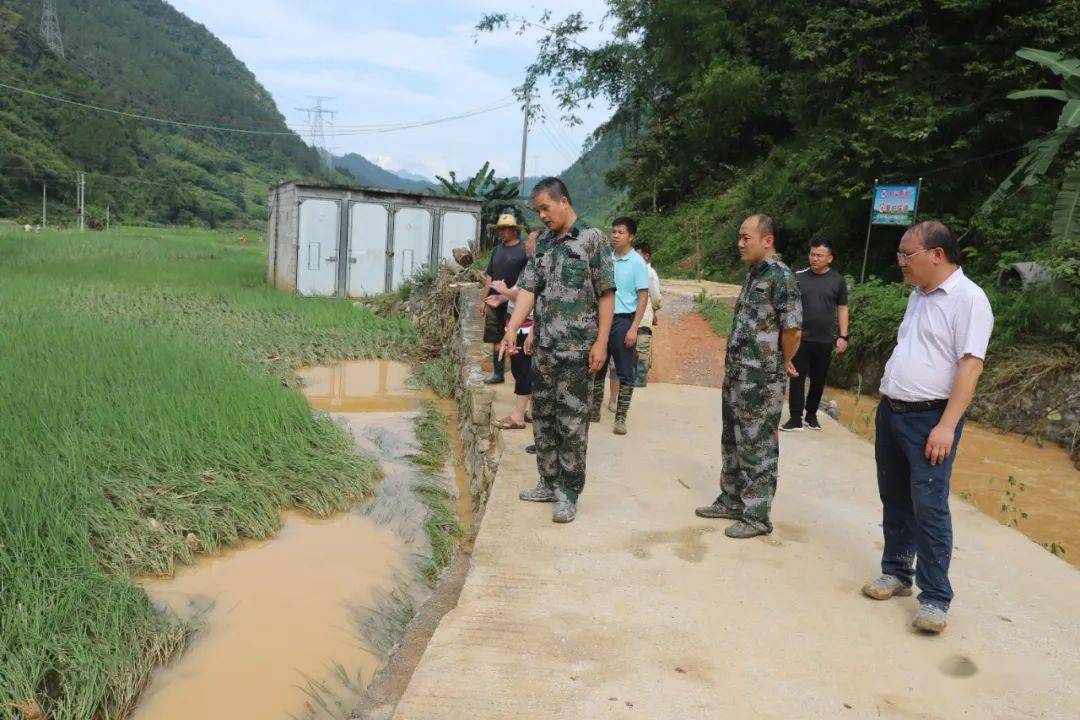 岜暮乡最新交通动态报道