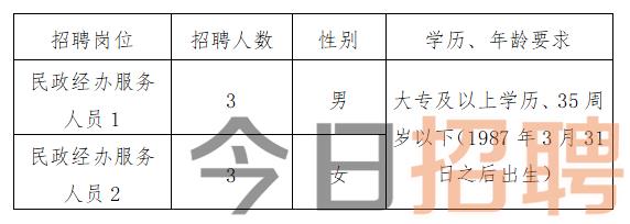 庆元县计生委最新招聘信息与工作概述概览