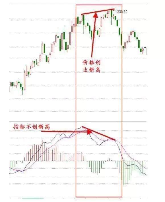 澳门4949彩论坛高手,稳定策略分析_Elite99.115