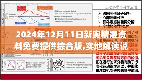 2024新奥资料免费精准109,平衡策略实施_经典版172.312