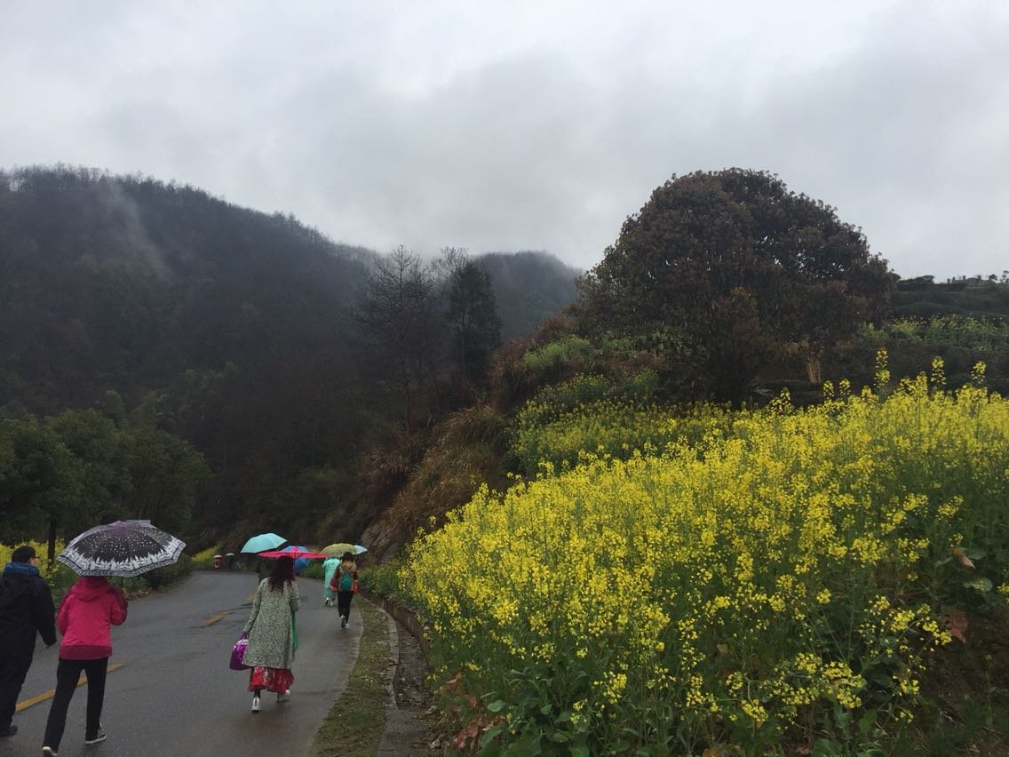 黄坝乡天气预报更新通知