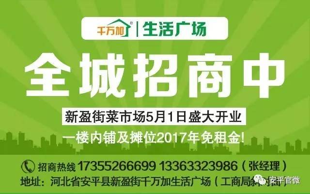 桂平市人力资源和社会保障局最新招聘信息全面解析