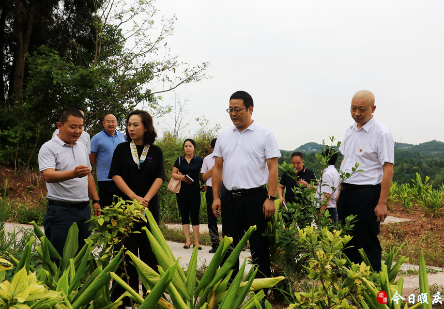 康禾镇新任领导引领共筑辉煌未来