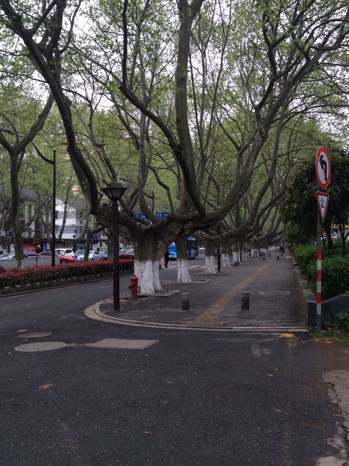 中山东路街道天气预报更新通知