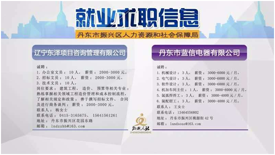 龙安区人力资源和社会保障局招聘最新信息全面解析