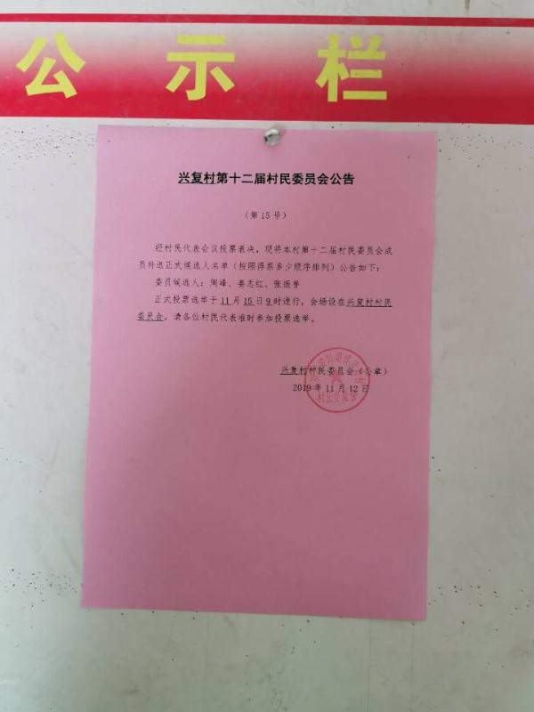 庄头村民委员会人事任命公告全新发布