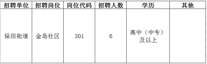 大观区初中最新招聘信息全面解析