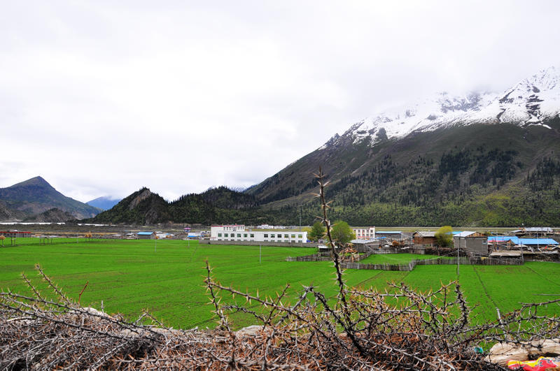 珍木则村天气预报更新通知