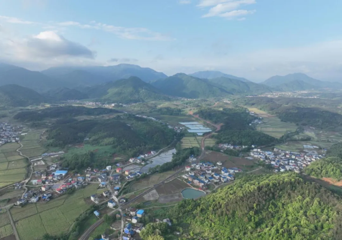 卓岗村新项目，乡村振兴的新引擎