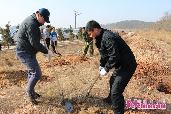 长岛县住房和城乡建设局最新项目进展更新